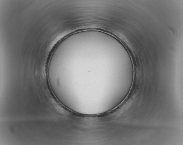 X0000113590789200910091458