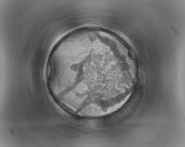 X0000113590791200910091458