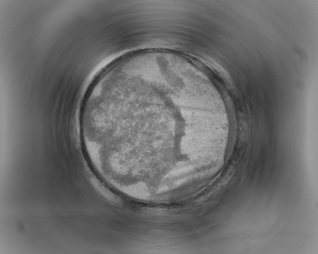 X0000113590792200910091458