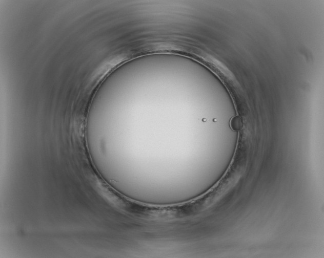 X0000113590793200910091458