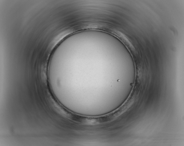 X0000113590794200910091458