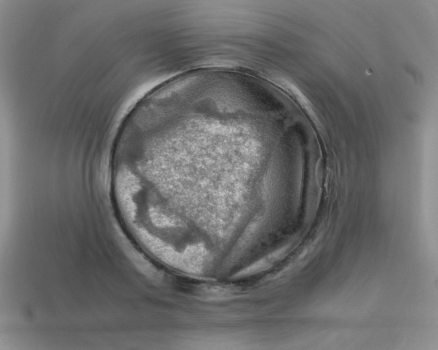 X0000113590795200910091458