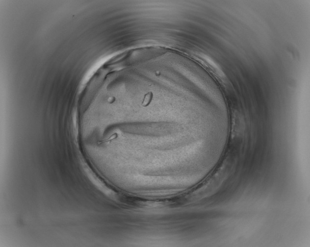 X0000113590796200910091458