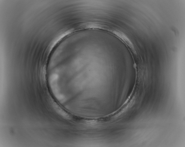 X0000113590798200910091458