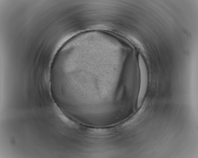 X0000113590800200910091458