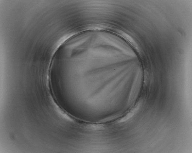 X0000113590802200910091458