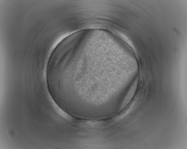 X0000113590803200910091458