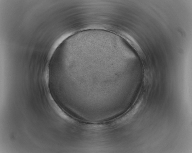 X0000113590804200910091458