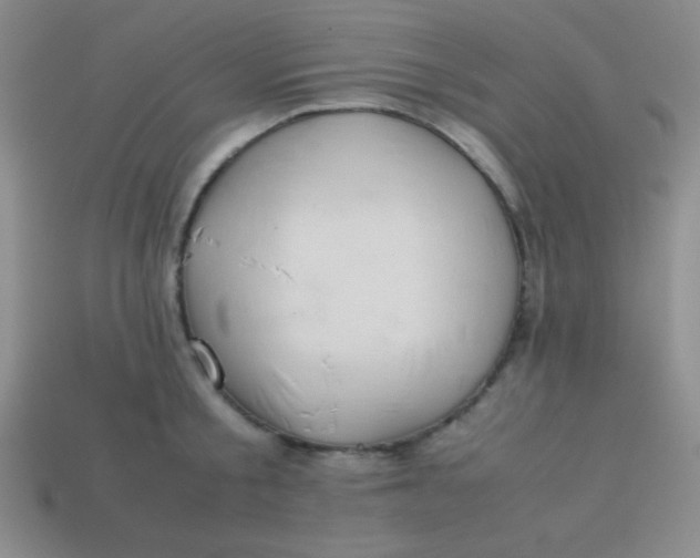 X0000113590805200910091458