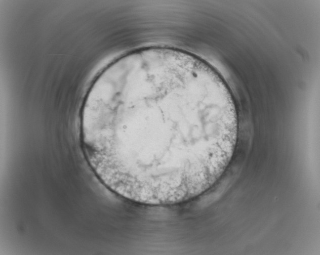 X0000113590807200910091458