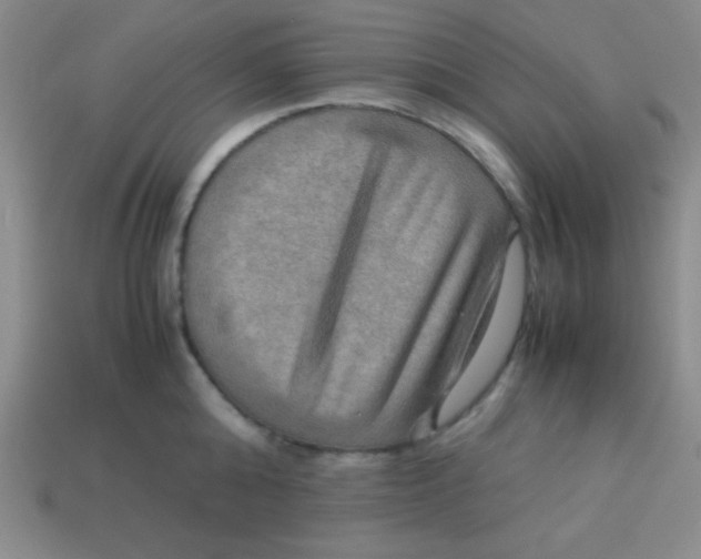 X0000113590808200910091458