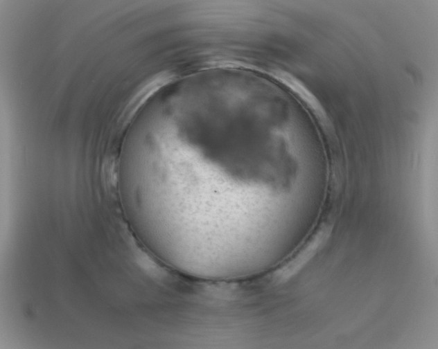 X0000113590809200910091458