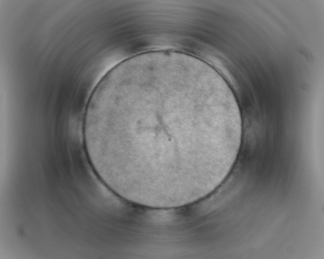 X0000113590810200910091458