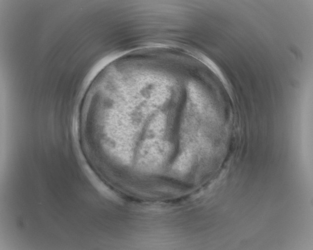 X0000113590811200910091458