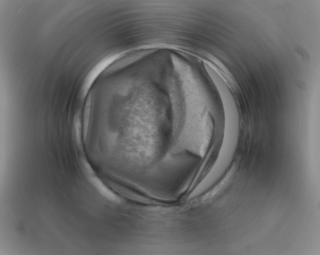 X0000113590812200910091458