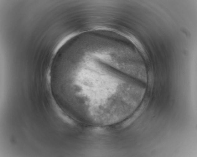 X0000113590814200910091458