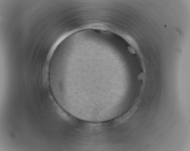 X0000113590816200910091458