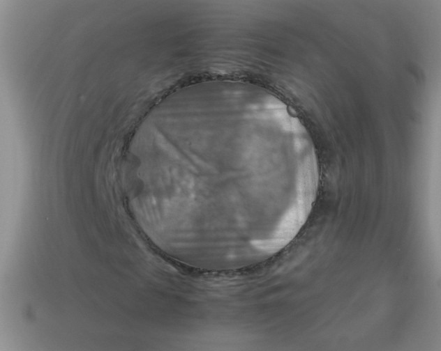 X0000113590817200910091457