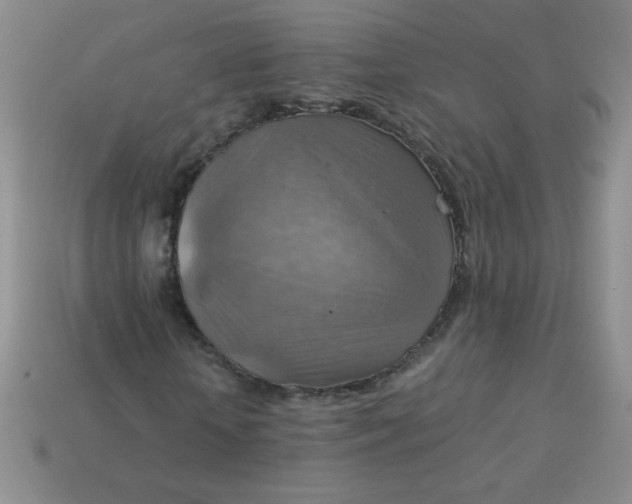 X0000113590818200910091457