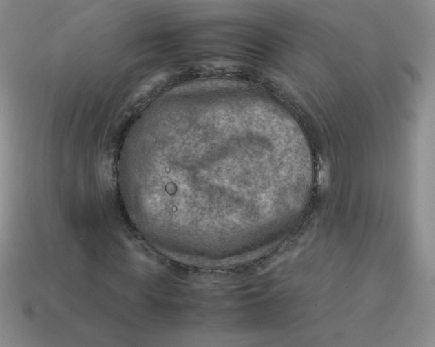 X0000113590819200910091457