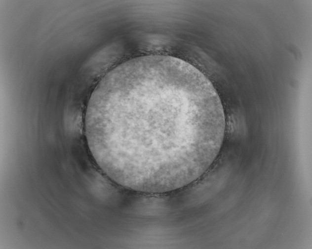 X0000113590820200910091457