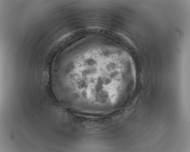 X0000113590821200910091457