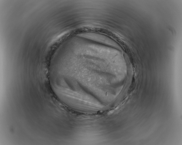 X0000113590822200910091457