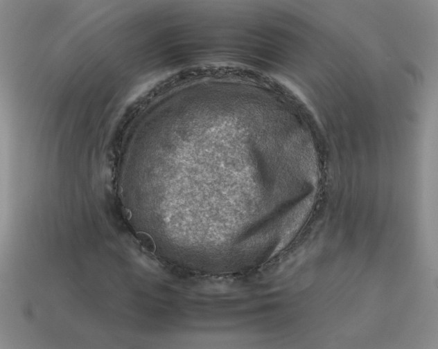 X0000113590823200910091457