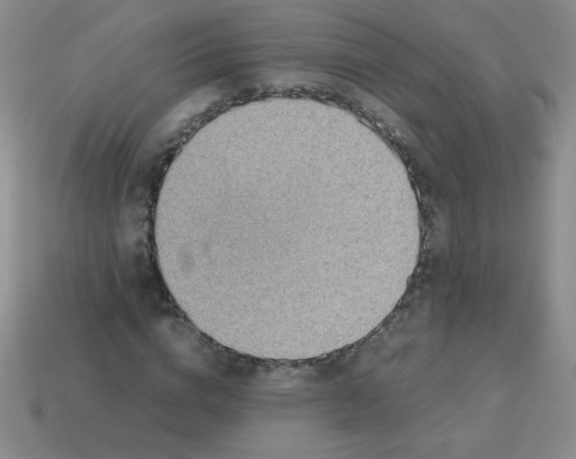 X0000113590824200910091457