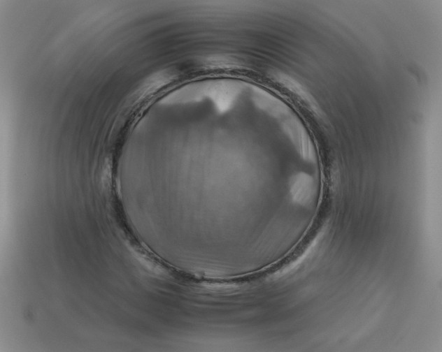 X0000113590825200910091457