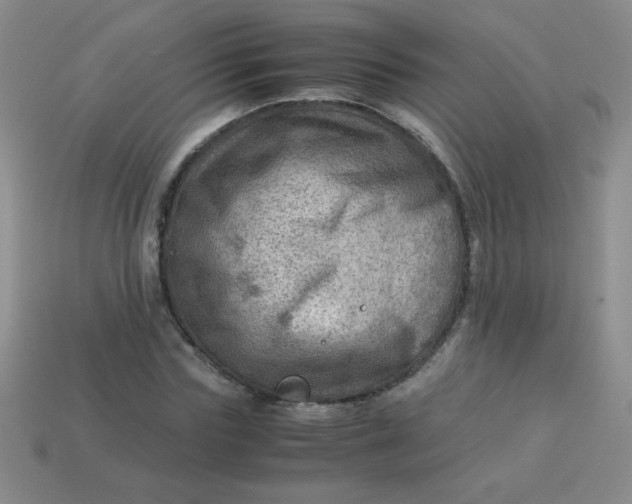 X0000113590827200910091457