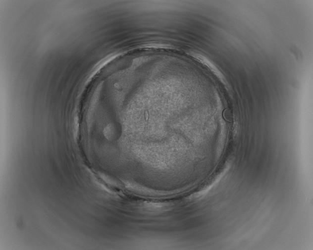 X0000113590829200910091458