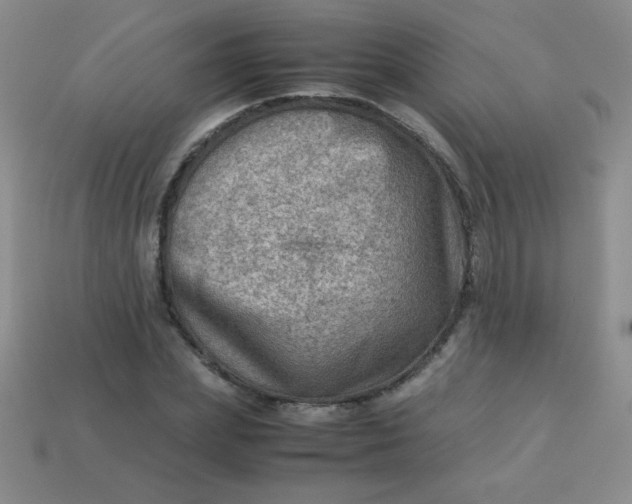 X0000113590831200910091458