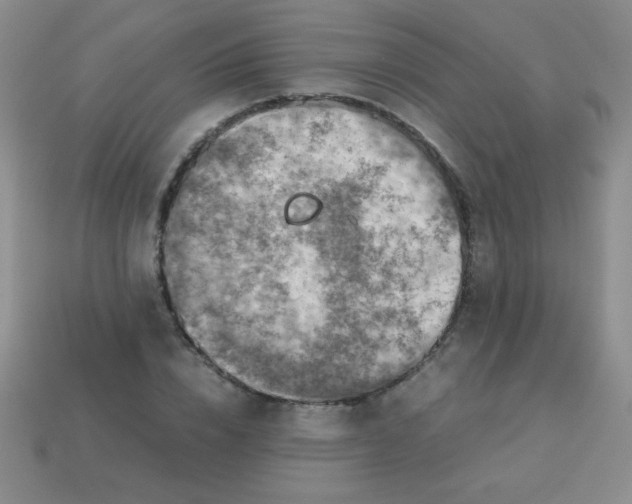 X0000113590832200910091458