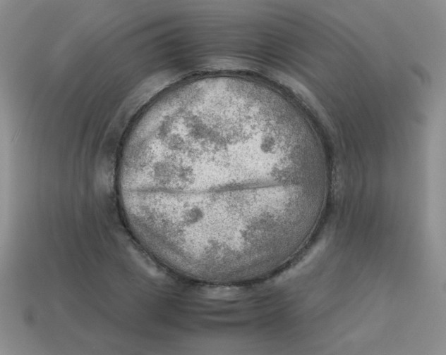 X0000113590833200910091458