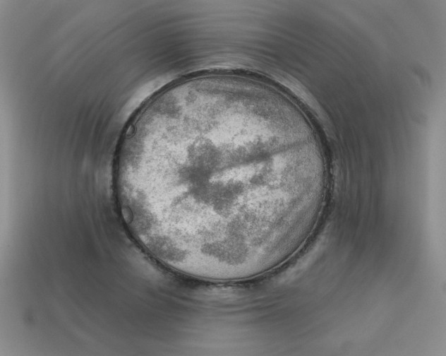 X0000113590834200910091458