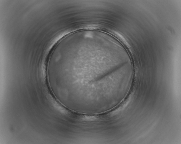 X0000113590835200910091458