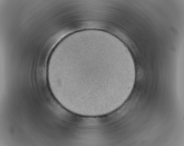 X0000113590836200910091458