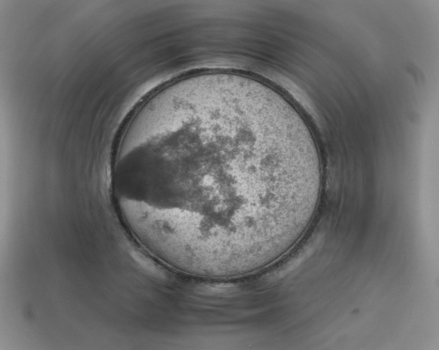 X0000113590837200910091458