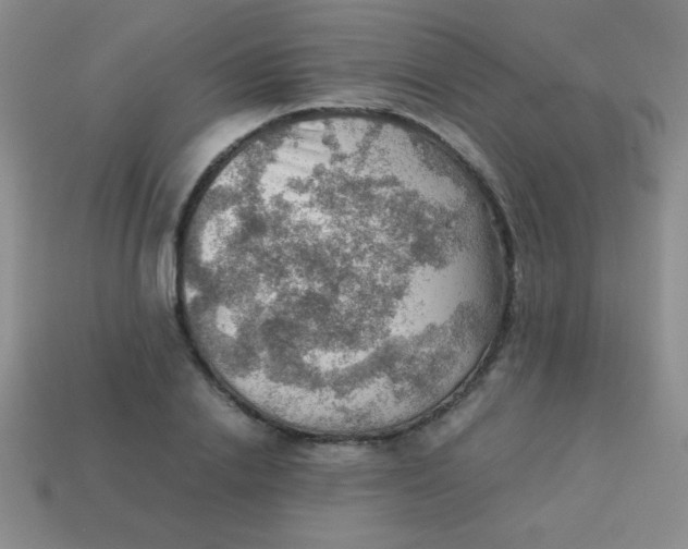 X0000113590838200910091458