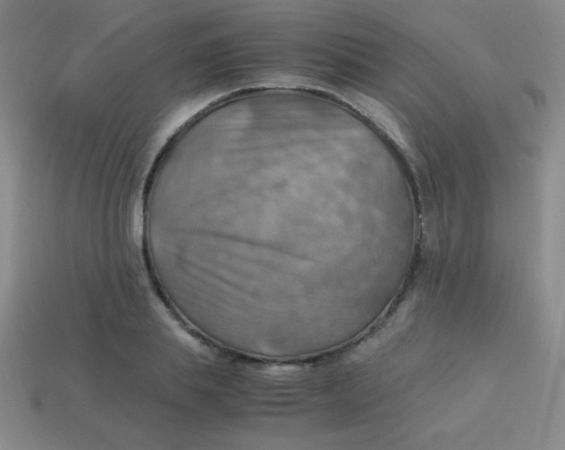 X0000113590839200910091458