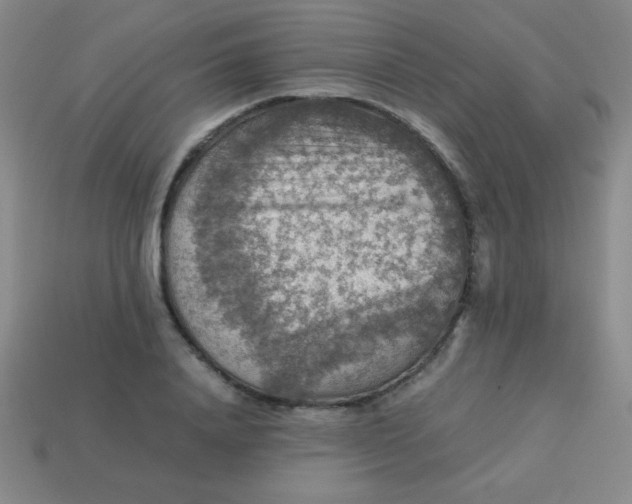 X0000113590840200910091458