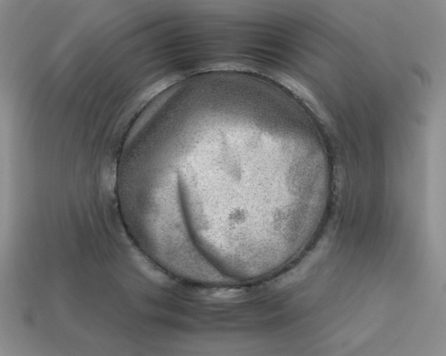 X0000113590841200910091458