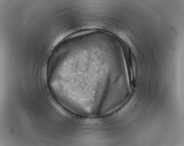 X0000113590842200910091458