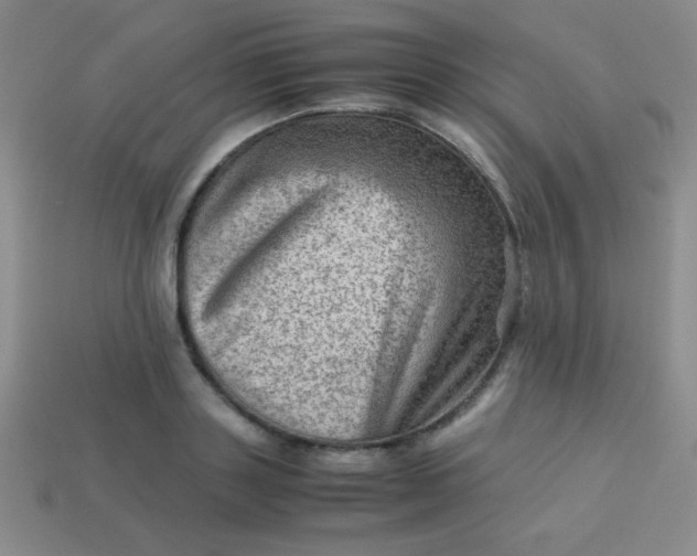 X0000113590843200910091458