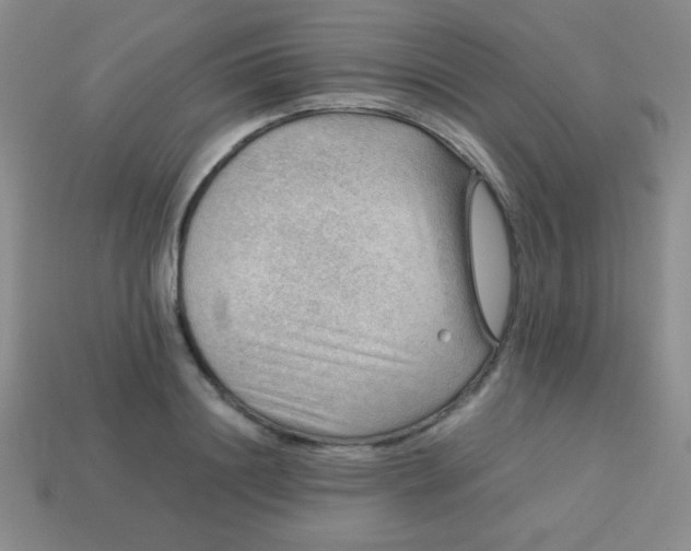 X0000113590844200910091458