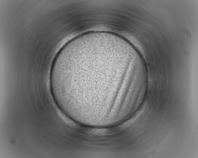 X0000113590845200910091458