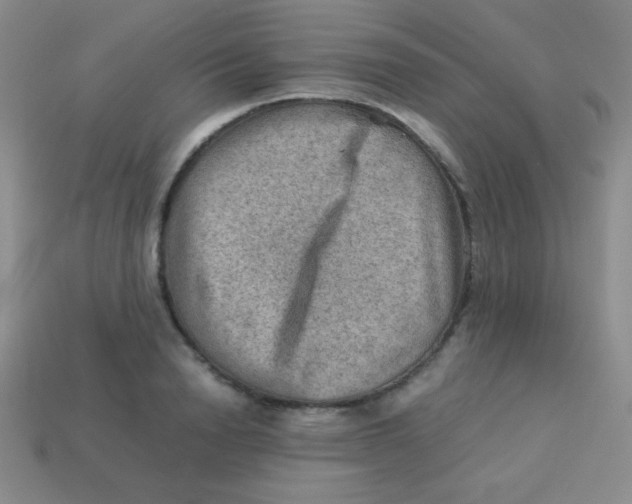 X0000113590846200910091458