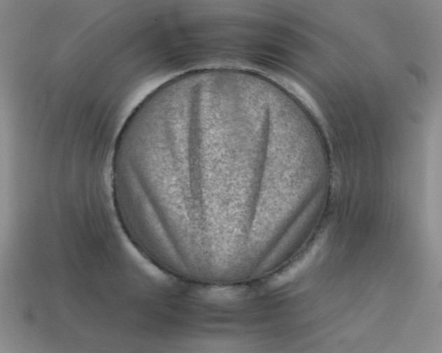 X0000113590847200910091458