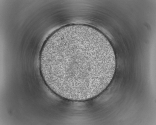 X0000113590848200910091458